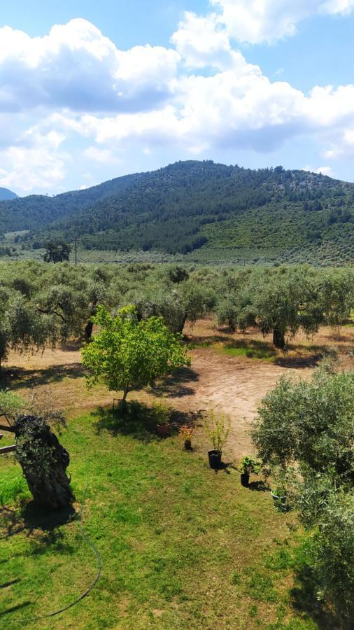 Villa Thomi Skala Rachoni  Екстер'єр фото