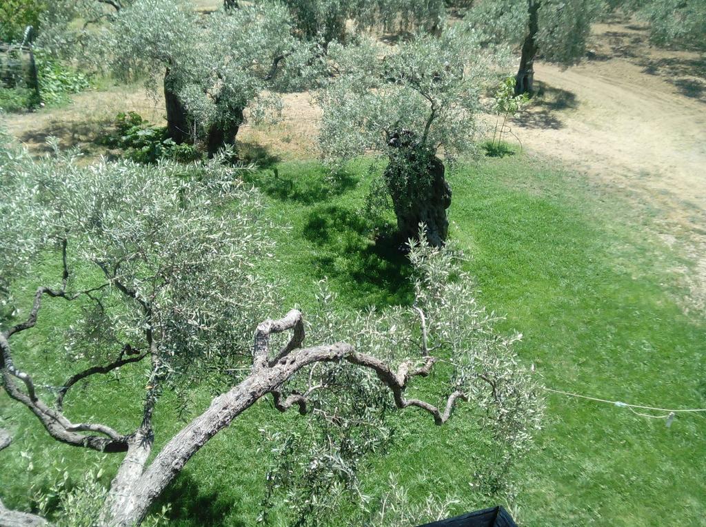 Villa Thomi Skala Rachoni  Екстер'єр фото