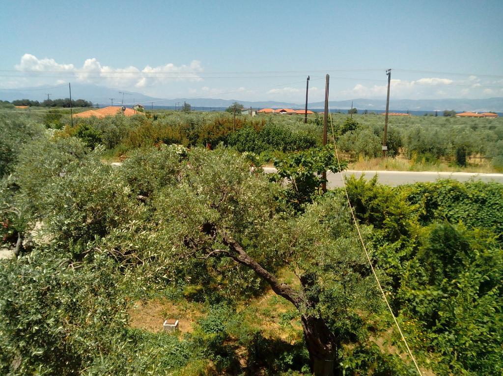 Villa Thomi Skala Rachoni  Екстер'єр фото
