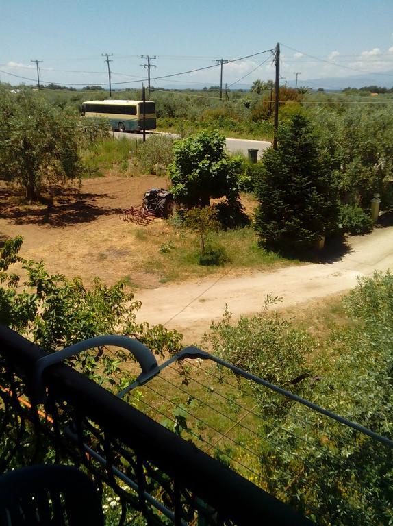 Villa Thomi Skala Rachoni  Екстер'єр фото