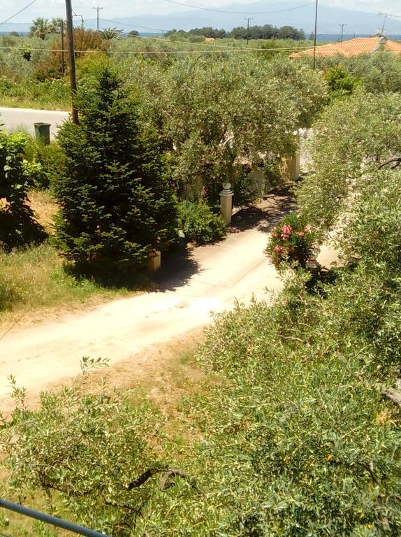 Villa Thomi Skala Rachoni  Екстер'єр фото